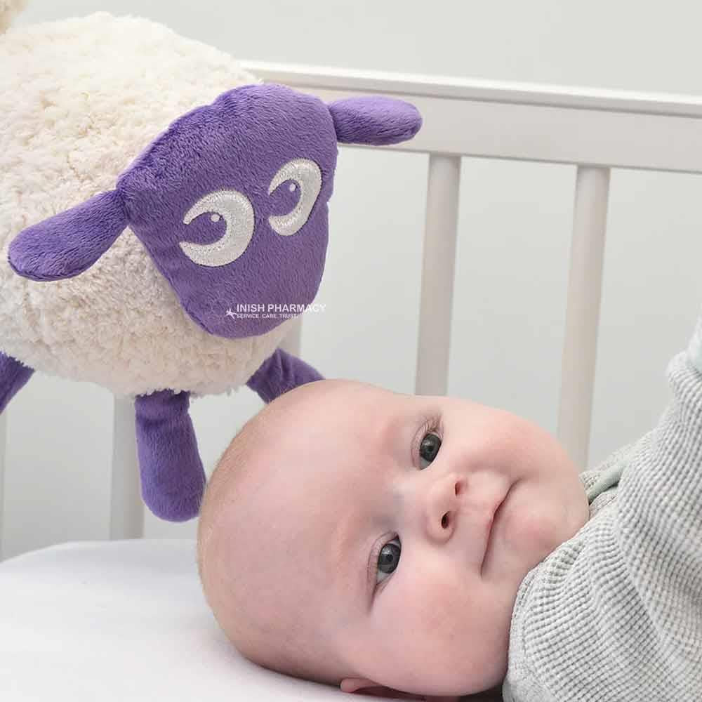 Ewan The Dream Sheep - Image 3