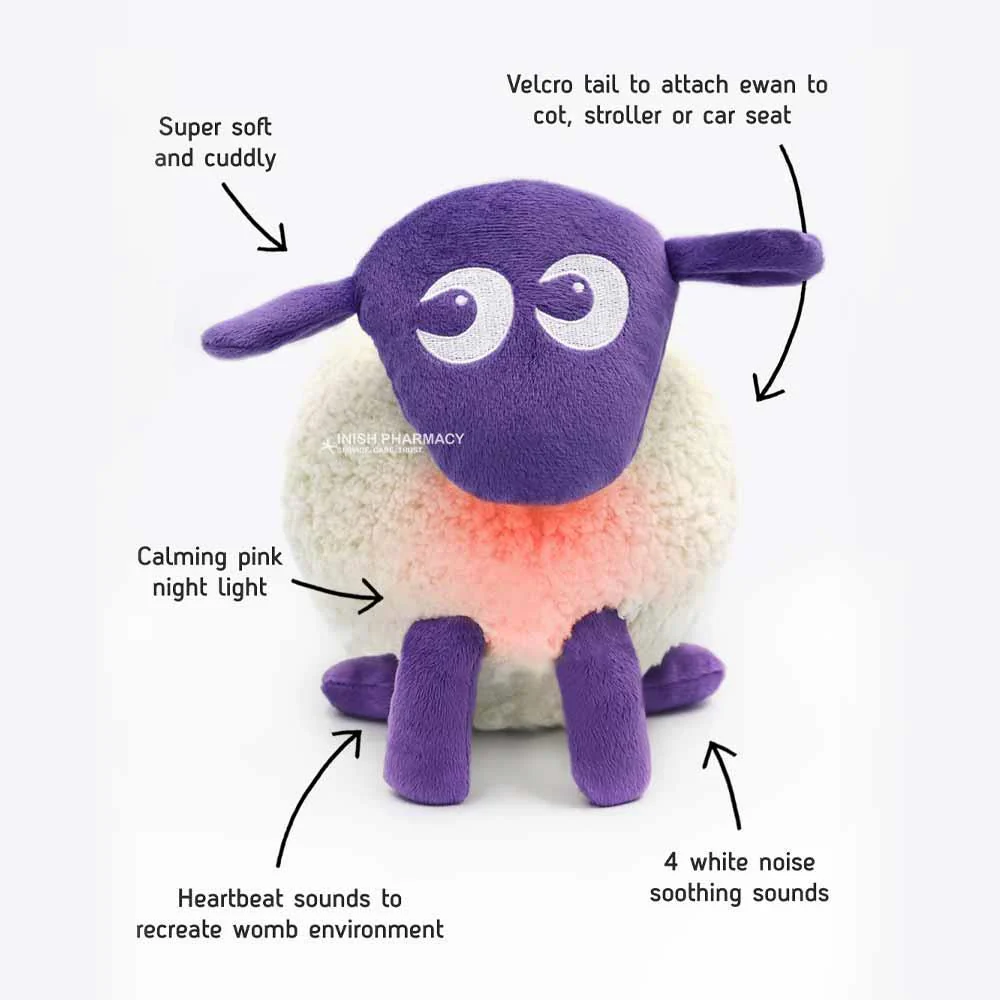 Ewan The Dream Sheep - Image 4