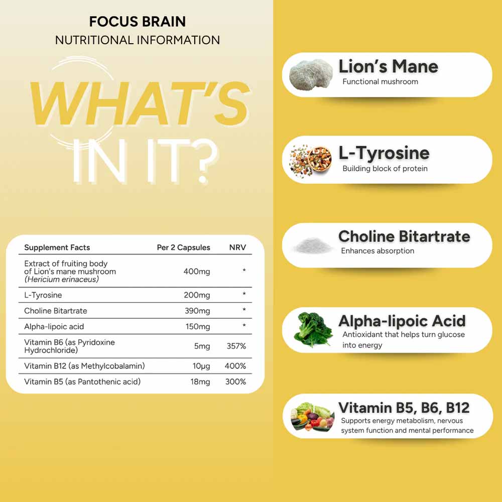 FabU Focus Brain 60 Capsules - Image 4