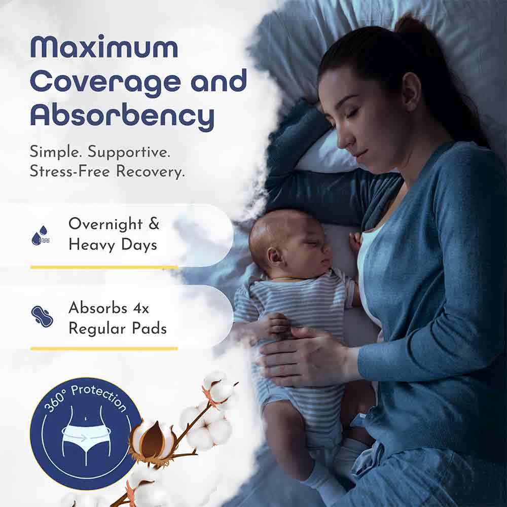 First Days Maternity Absorbent Underwear L/XL 7 Pack - Image 3